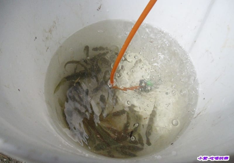 釣溪魚.jpg 釣溪魚.jpg