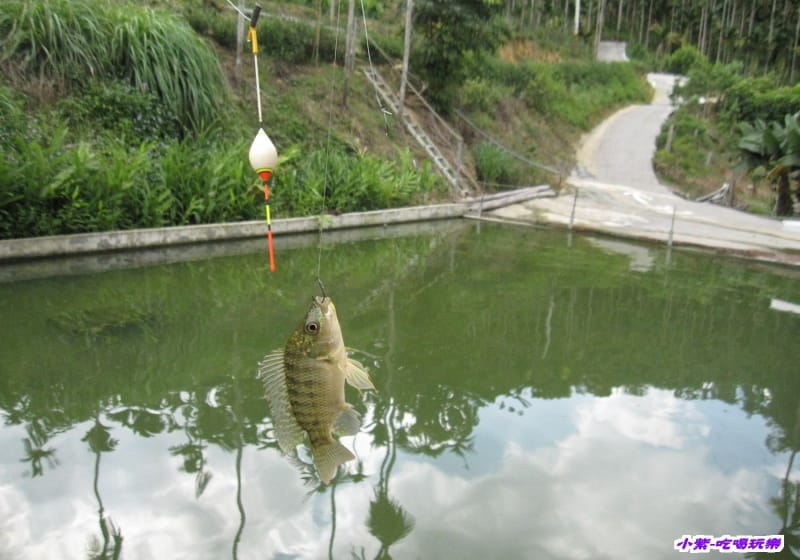 釣魚.jpg 釣魚.jpg
