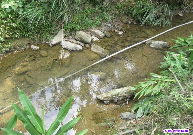 小溪 (1).jpg 小溪 (1).jpg