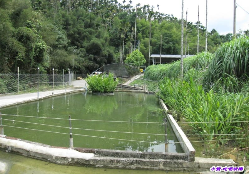釣魚池.jpg 釣魚池.jpg