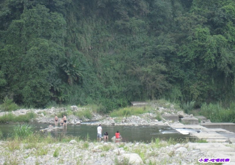 營地旁-油羅溪 (3).jpg