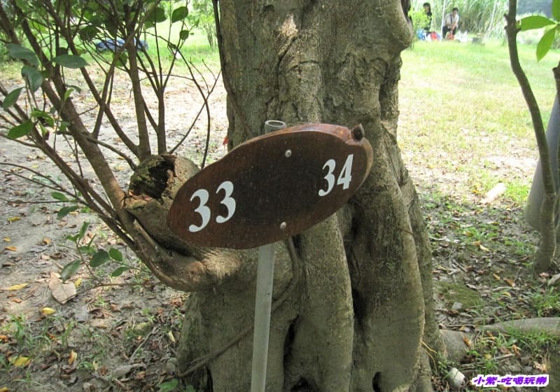 33.34草皮碎石營位 (2).jpg