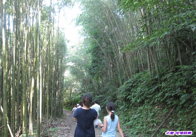 往梅后蔓瀑布步下坡步道 (3).jpg 往梅后蔓瀑布步下坡步道 (3).jpg