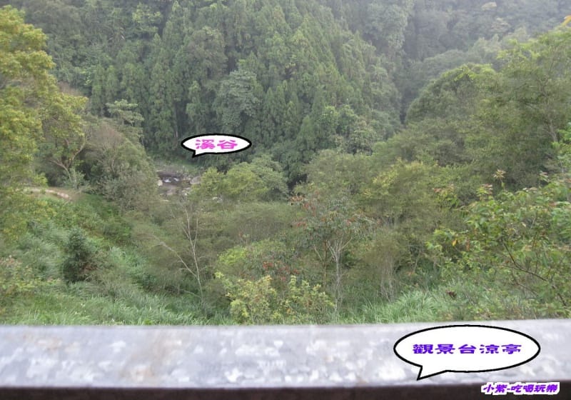 觀景台.jpg