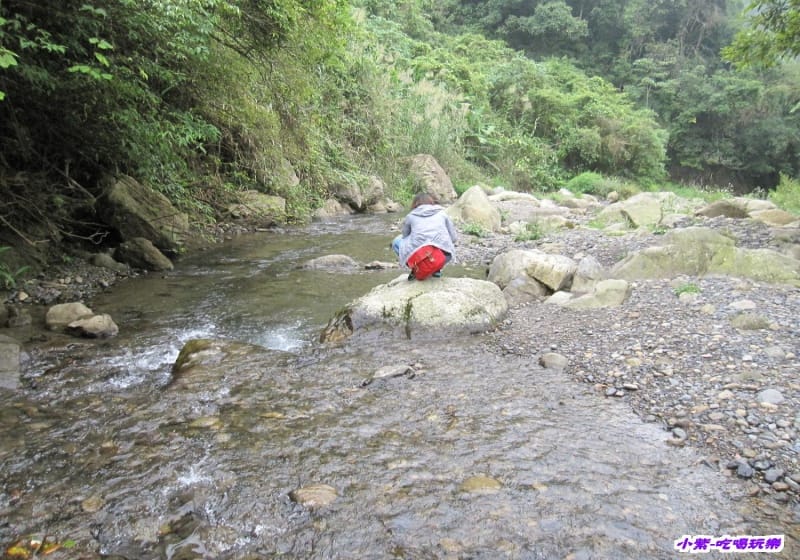 營地下方小溪 (4).jpg