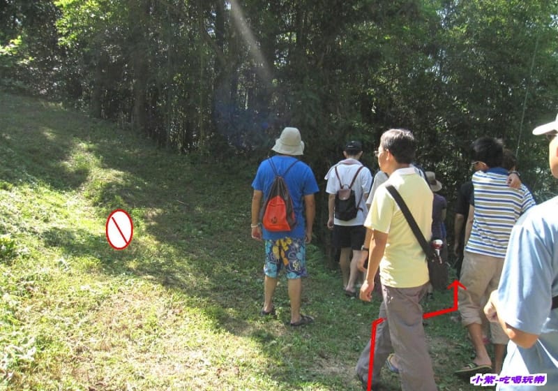 循右線走木棧道 (1).jpg 循右線走木棧道 (1).jpg
