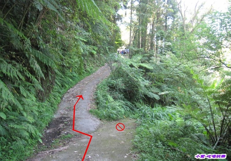 往梅后蔓瀑布步下坡步道.jpg 往梅后蔓瀑布步下坡步道.jpg