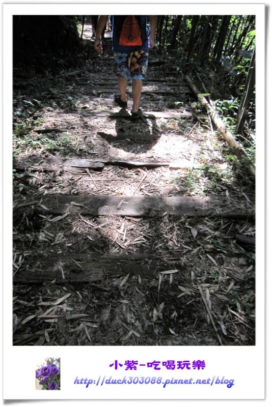 木棧道 (1).jpg 木棧道 (1).jpg