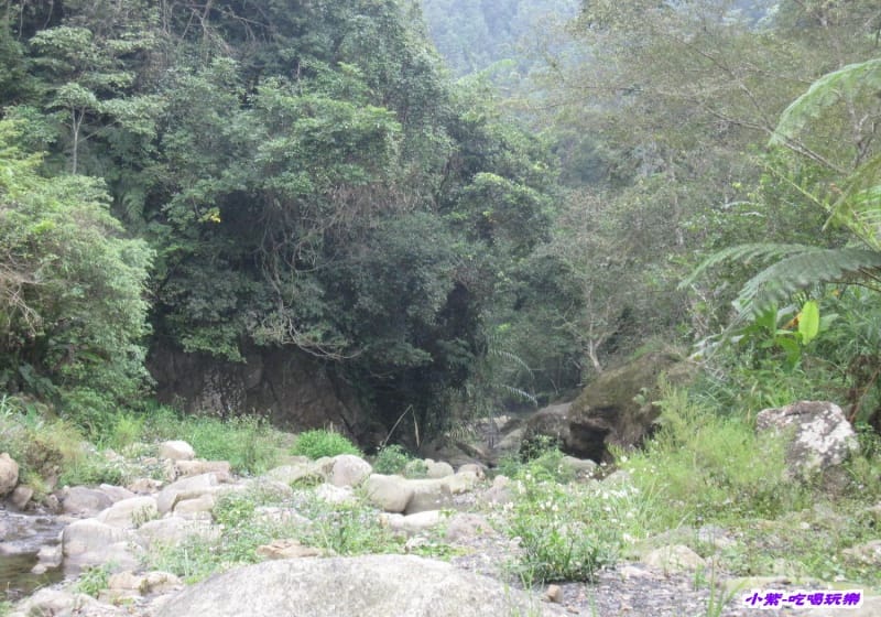 營地下方小溪 (7).jpg