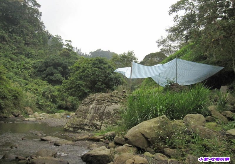 營地下方小溪 (11).jpg