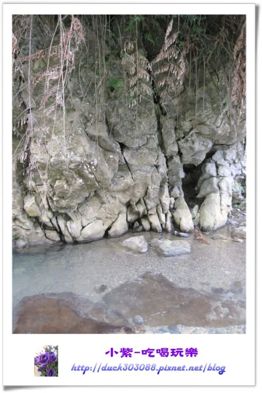 營地下方小溪 (12).jpg