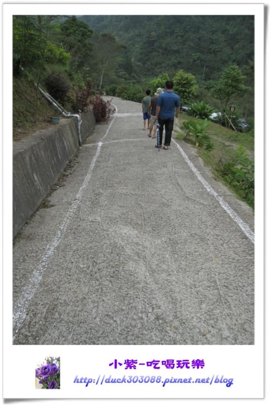營地車道.jpg
