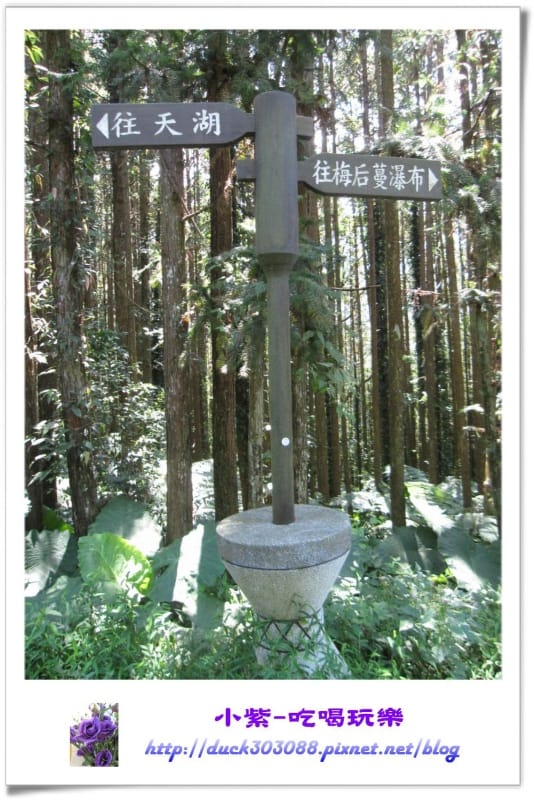 步道入口.jpg 步道入口.jpg