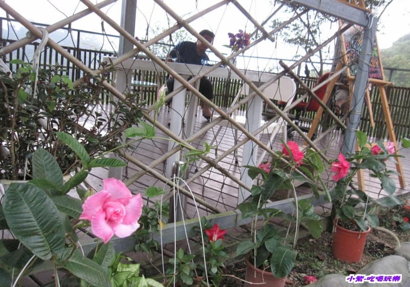 花.jpg