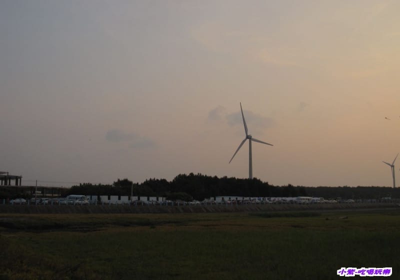 高美溼地 (106).jpg 高美溼地 (106).jpg