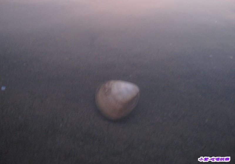 高美溼地 (91).jpg 高美溼地 (91).jpg