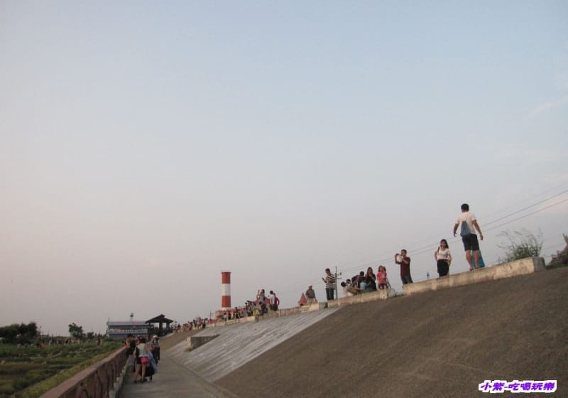 高美溼地 (112).jpg 高美溼地 (112).jpg