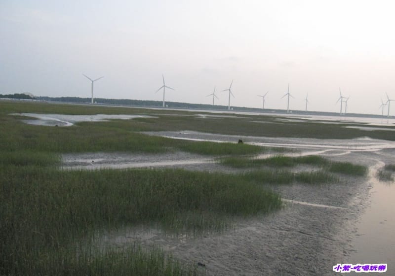 高美溼地 (123).jpg 高美溼地 (123).jpg