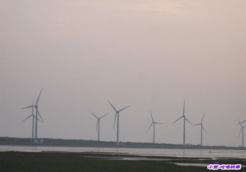 高美溼地 (118).jpg 高美溼地 (118).jpg