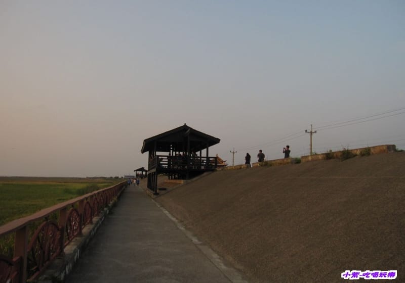 高美溼地 (105).jpg 高美溼地 (105).jpg