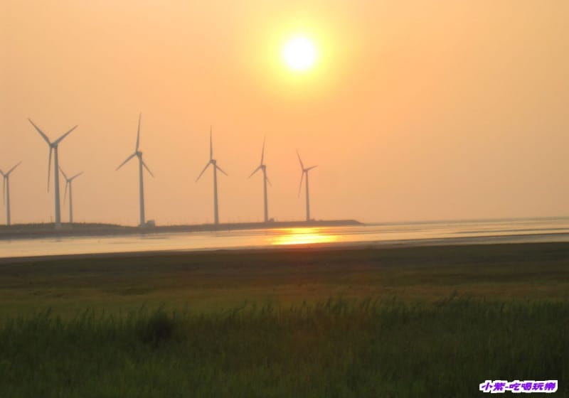 高美溼地 (108).jpg 高美溼地 (108).jpg