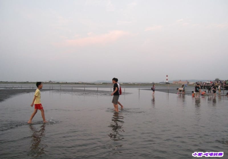 高美溼地 (131).jpg 高美溼地 (131).jpg