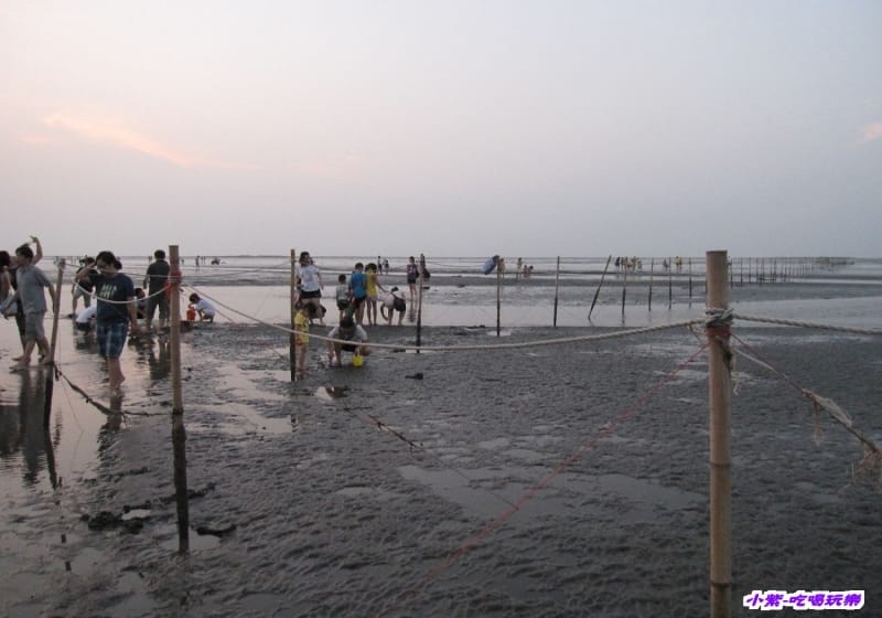 高美溼地 (130).jpg 高美溼地 (130).jpg