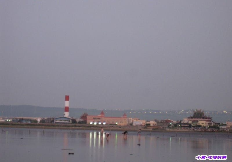 高美溼地 (89).jpg 高美溼地 (89).jpg