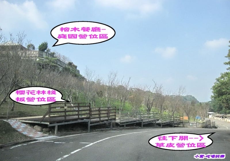 櫻花2.jpg