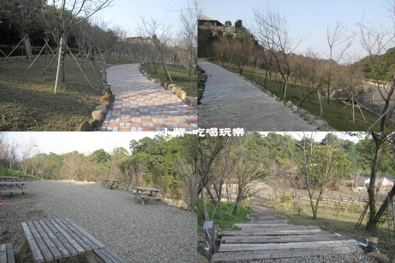 櫻花 步道.jpg
