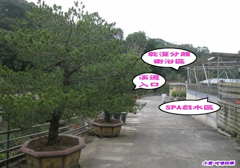 往SPA.jpg