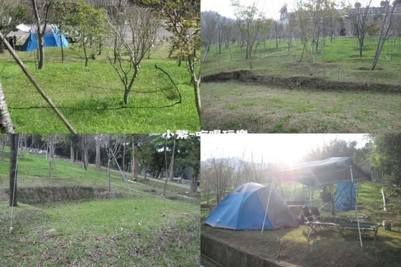 櫻花草皮區.jpg