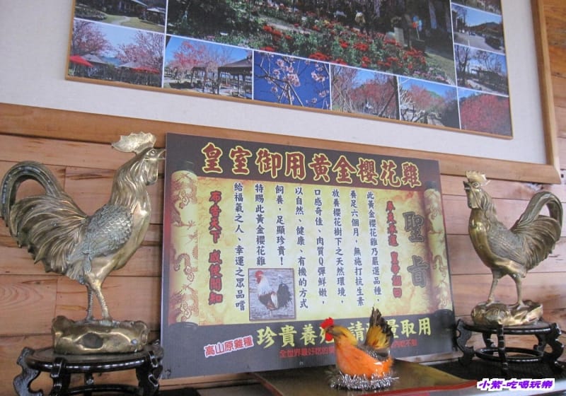 櫻花雞介紹.jpg 櫻花雞介紹.jpg