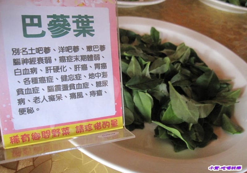 巴蔘葉.jpg 巴蔘葉.jpg