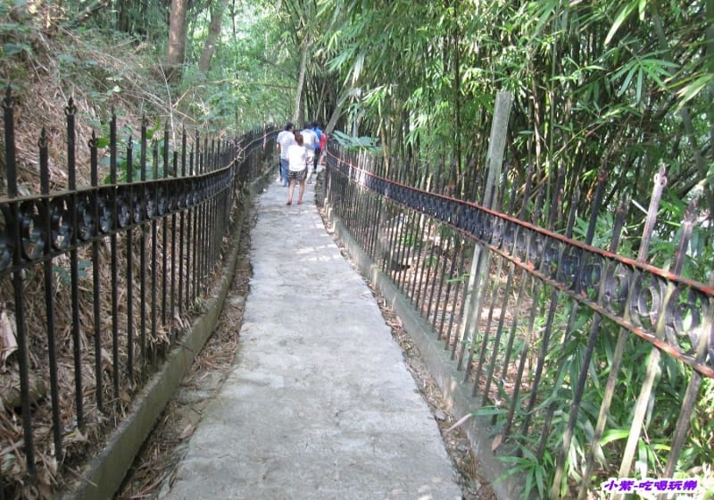 竹林步道 (4).jpg