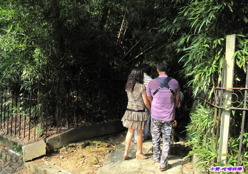 竹林步道.jpg
