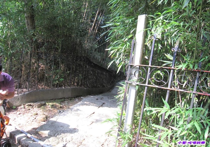 竹林步道 (1).jpg