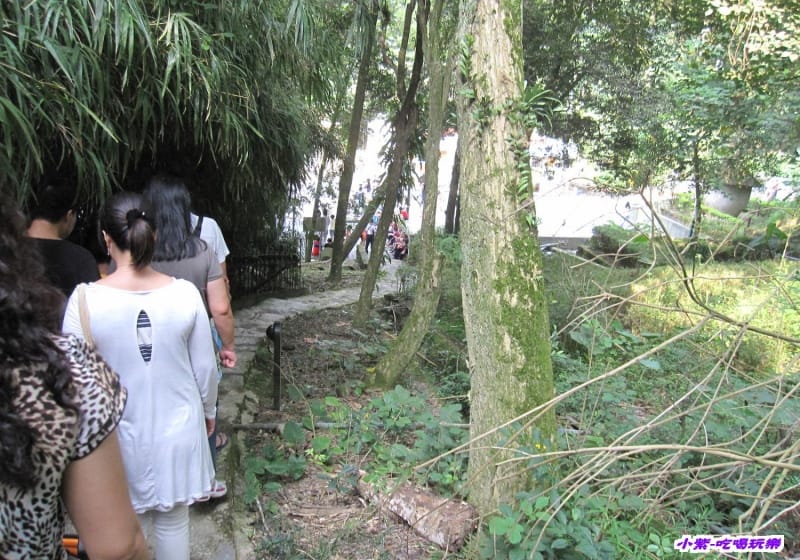 竹林步道 (2).jpg