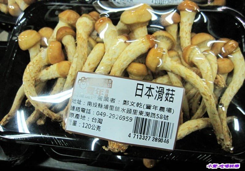 豐年生態農場 (37).jpg