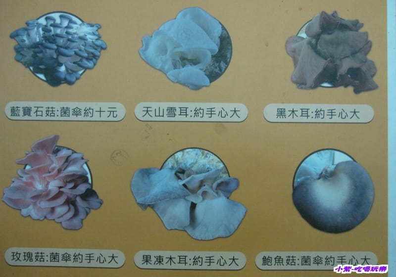 豐年生態農場 (44).jpg