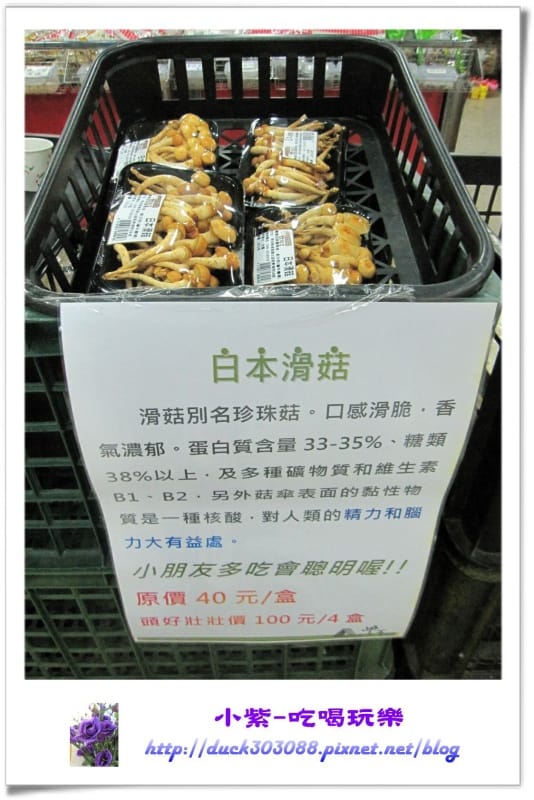 豐年生態農場 (36).jpg