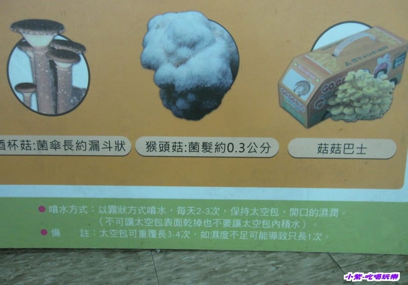 豐年生態農場 (45).jpg