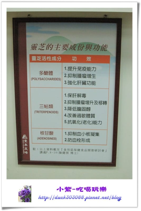 豐年生態農場 (40).jpg