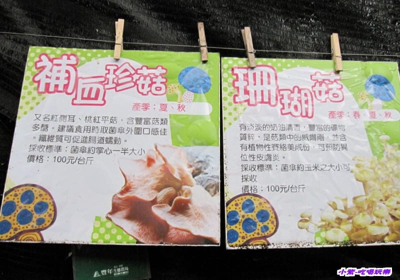 豐年生態農場 (20).jpg