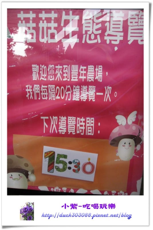 豐年生態農場 (33).jpg