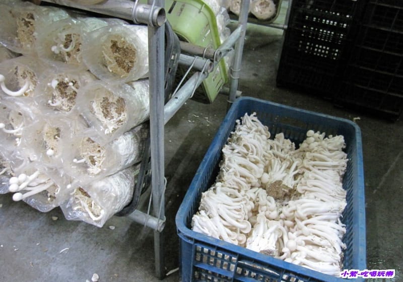 豐年生態農場 (30).jpg