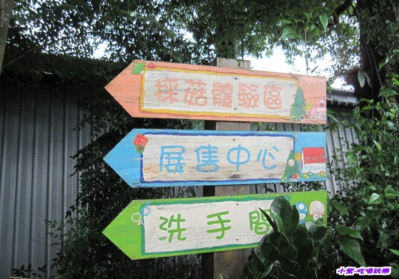 豐年生態農場 (2).jpg
