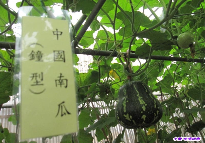 農情萬種-蔬果嘉年華館 (10).jpg 農情萬種-蔬果嘉年華館 (10).jpg
