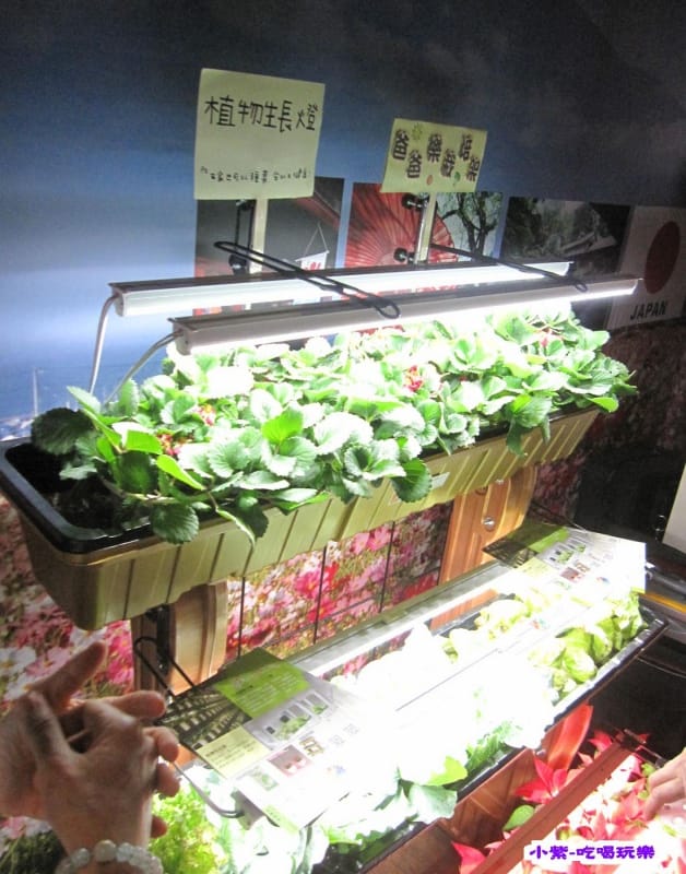 台日Long Stay文化館 (8).jpg 台日Long Stay文化館 (8).jpg