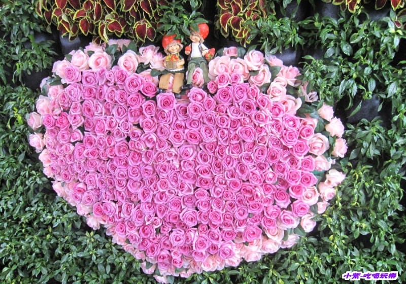 臺中國際花毯節 (13).jpg 臺中國際花毯節 (13).jpg